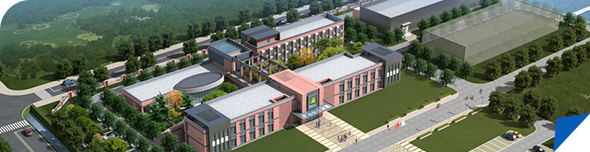 河北騰宇木業(yè)有限公司 河北騰宇木業(yè)有限公司